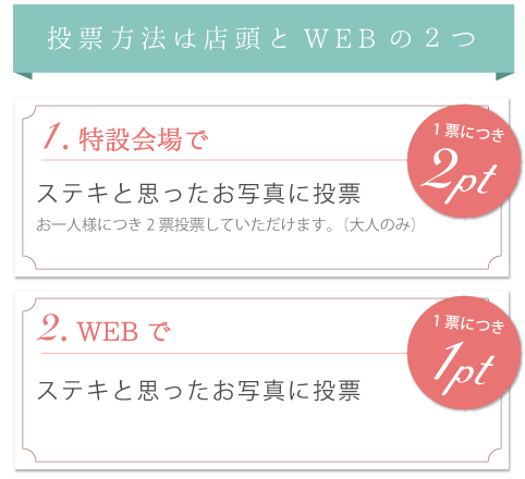 投票方法は店頭とWEBの二つ